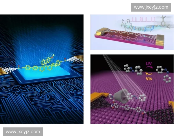 抗疲劳机制与应用研究进展及未来发展趋势探讨